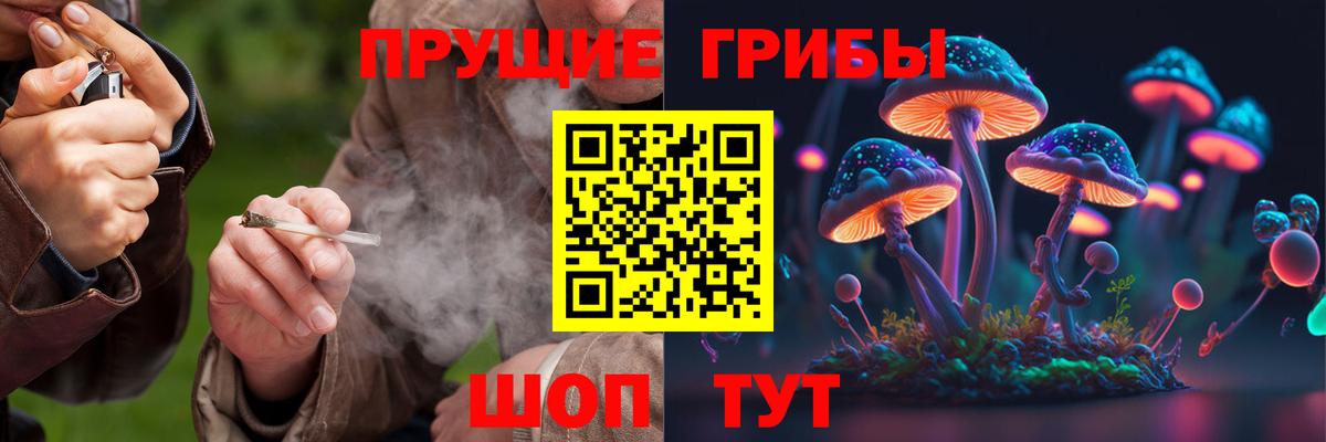 продажа наркотиков  Галлюциногенные грибы Magic Shrooms  Вход с VPN  Уварово 